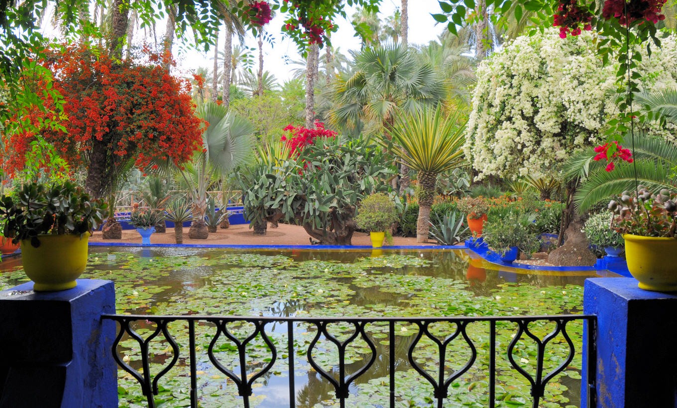 le jardin du Jacques Majorelle