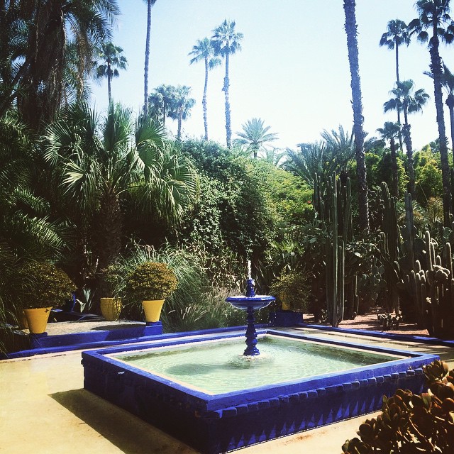 Jardin Majorel à Marrakech