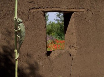 Le Jardin de Timalizene